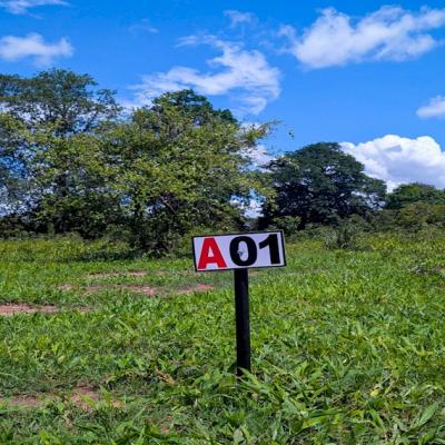 Blue Green Estate Plots