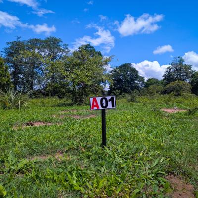 Blue Green Estates 03