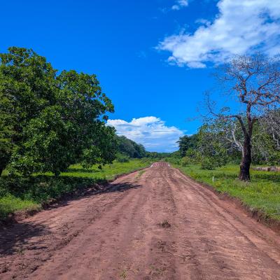 Blue Green Estates01