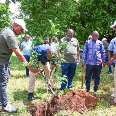 Bluegreen Estate Launch